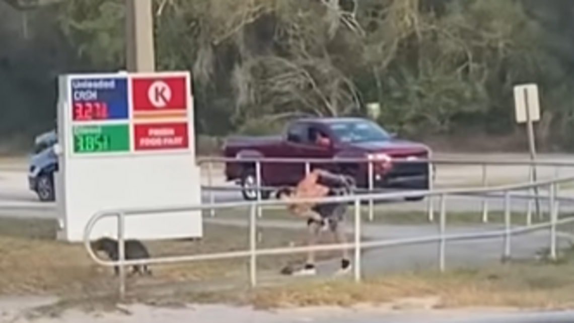 Bystanders Stop Man Accused Of Beating Dog Florida Cops Miami Herald bystanders-stop-man-accused-of-beating-dog-florida-cops-miami-herald